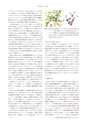 日本結晶学会誌Vol59No2-3
