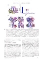 日本結晶学会誌Vol59No2-3