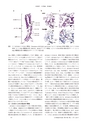 日本結晶学会誌Vol59No2-3