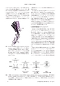 日本結晶学会誌Vol59No2-3