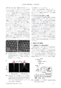 日本結晶学会誌Vol61No1