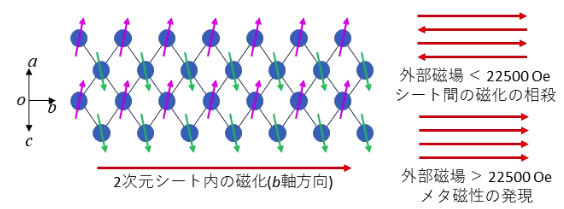 画像1b